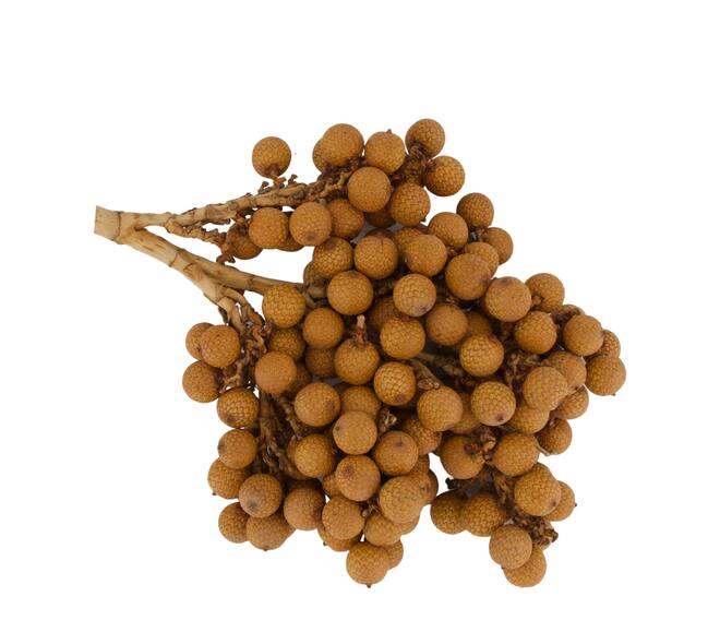 Branch rattan fruit nature 20x20x5cm 500gr