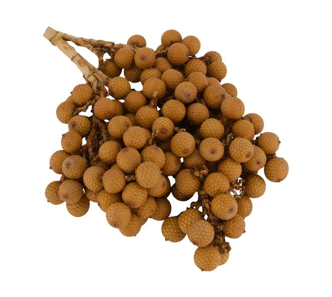 Branch rattan fruit nature 20x20x5cm 500gr