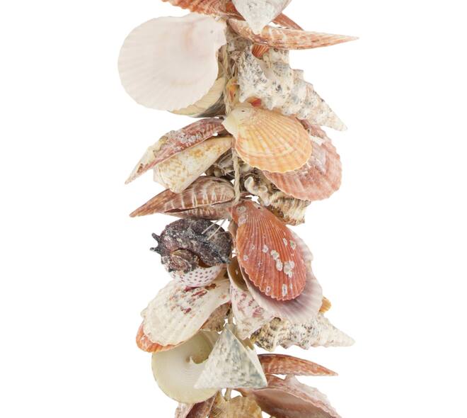 Garland shells nature 12x8x80cm - Multi
