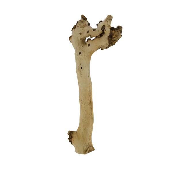 Root driftwood 49x18x6cm