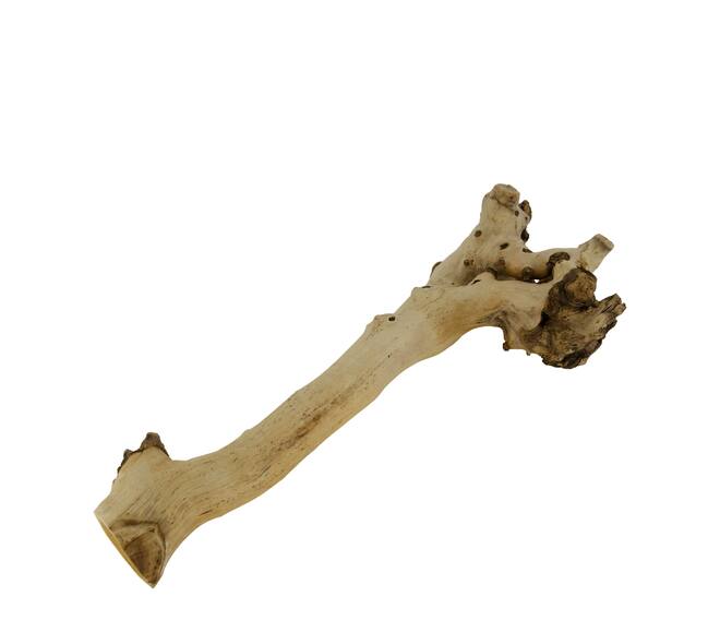 Root driftwood 49x18x6cm