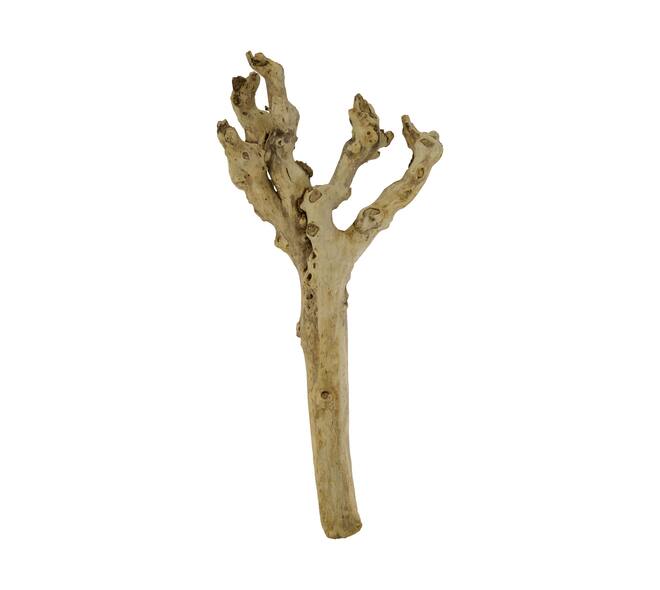 Root driftwood 56.5x18x6cm - Natural