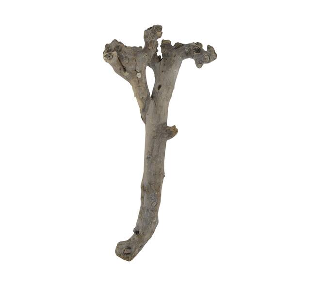 Root driftwood 56.5x18x6cm - White