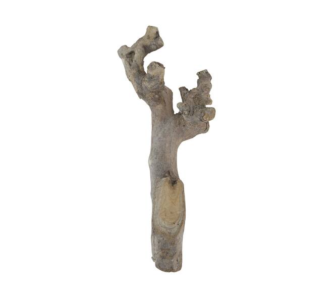 Root driftwood 28.5x15x6cm - White
