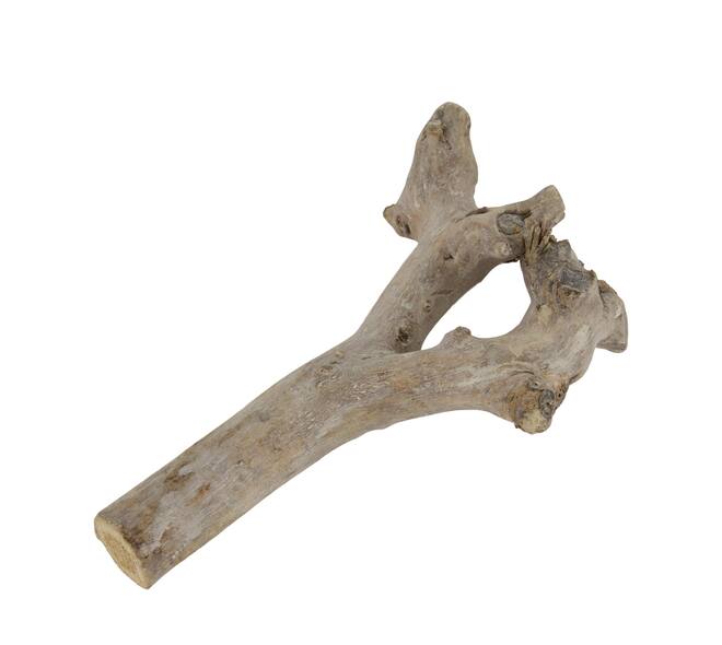 Root driftwood 36.5x15x6cm - White