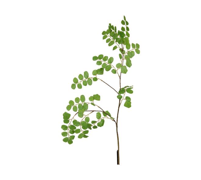 Branch acacia leaf spray artificial 90x32x5cm - Green
