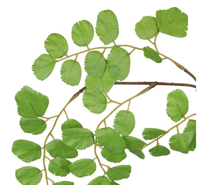 Branch acacia leaf spray artificial 90x32x5cm - Green
