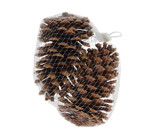 Pinecone nature 14x9x18cm 2pc - Natural