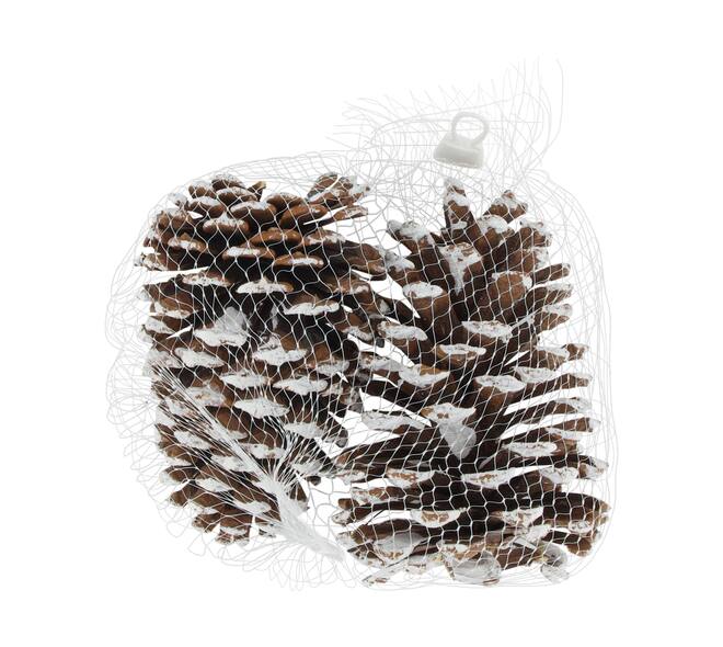 Pinecone nature 14x9x18cm 2pc
