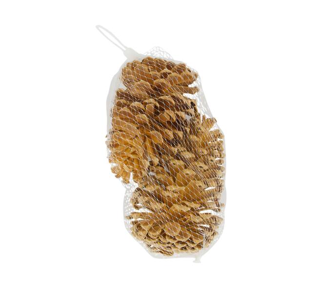 Pinecone nature 14x9x18cm 2pc - Cream