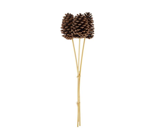 Pinecone nature on stick 14x14x55cm 3pc - Natural