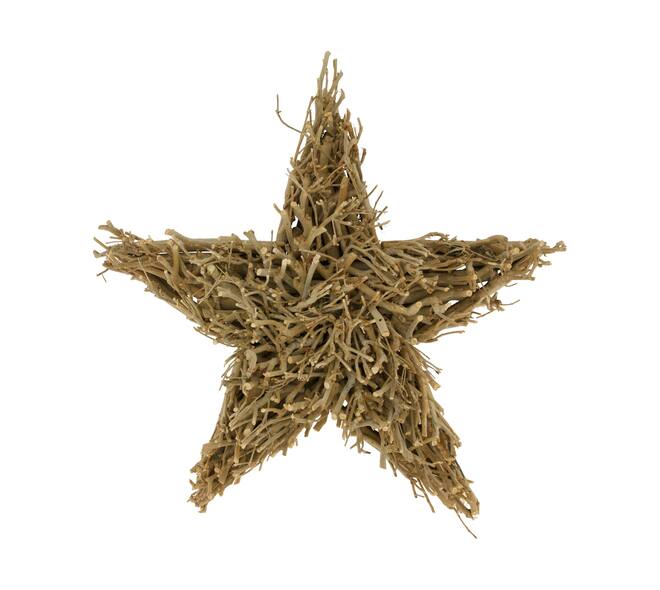 Star tea branch with hanger 54x54x7.5cm - Brown