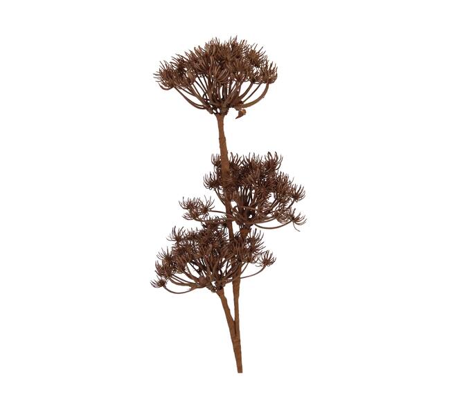 Branch heracleum artificial 77x20x10cm