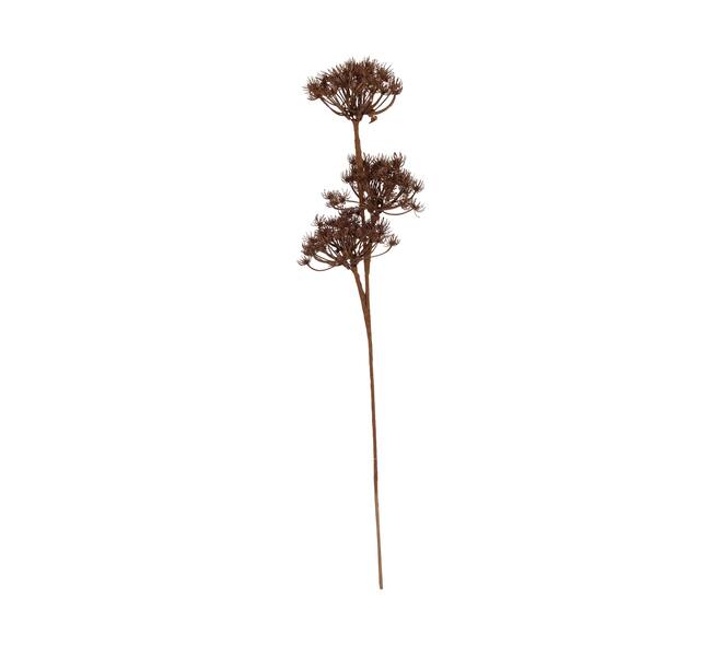 Branch heracleum artificial 77x20x10cm