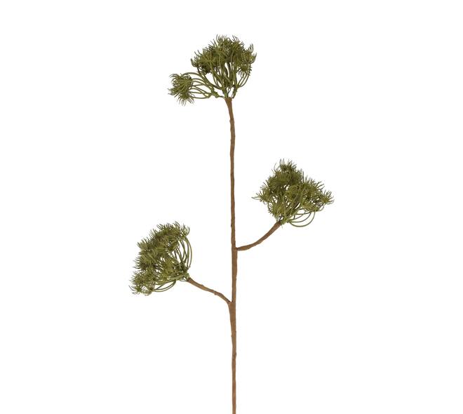 Branch heracleum artificial 77x20x10cm - Green