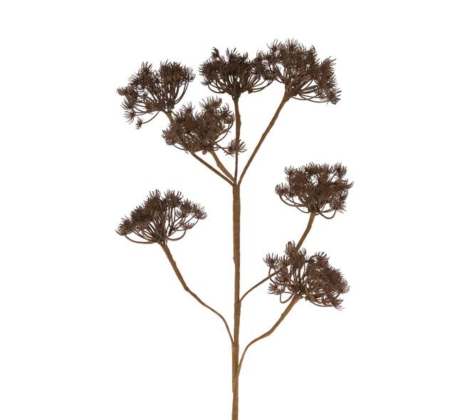 Branch heracleum artificial 115x40x10cm