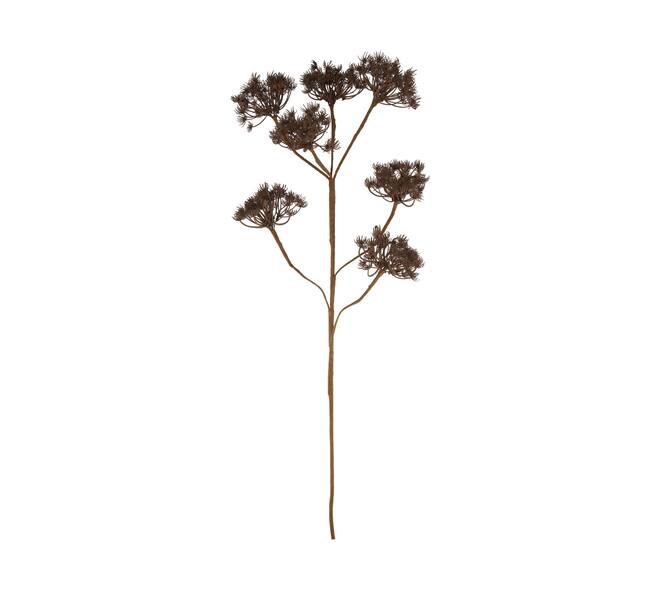Branch heracleum artificial 115x40x10cm