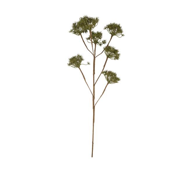 Branch heracleum artificial 115x40x10cm - Green
