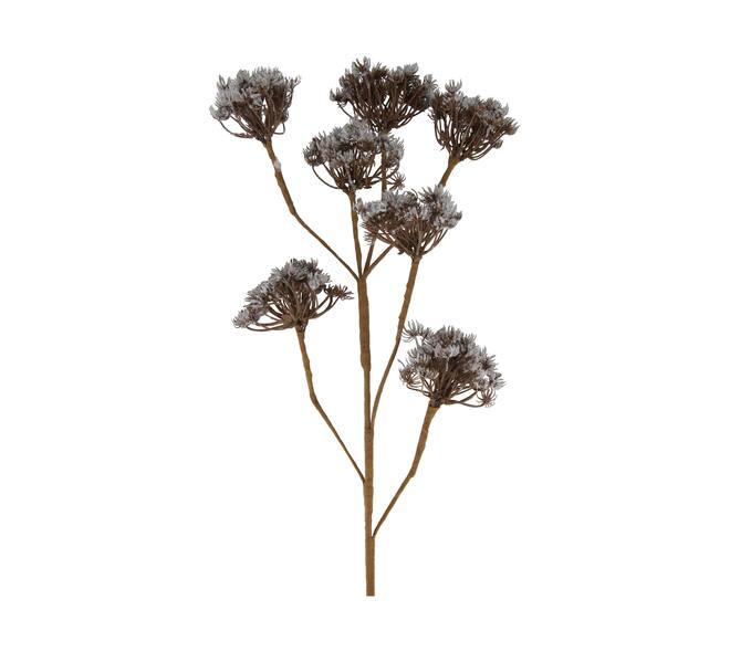 Branch heracleum artificial 115x40x10cm - Brown