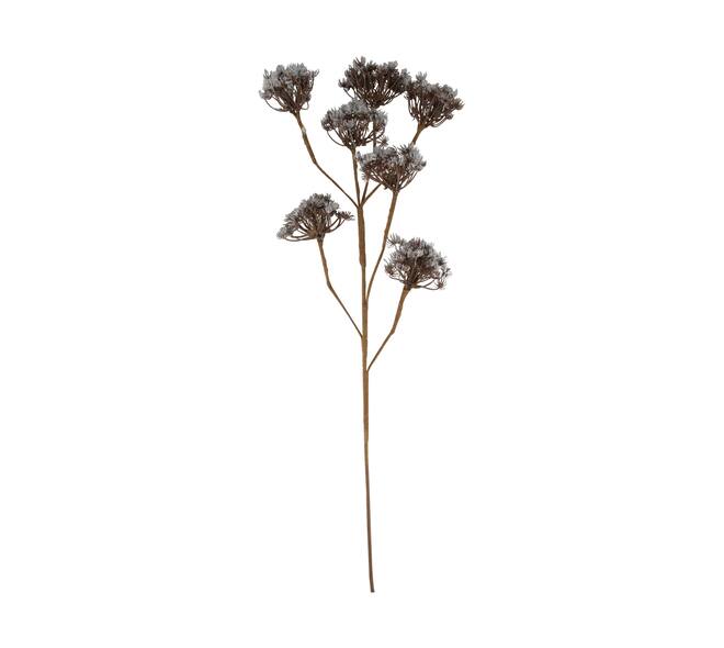 Branch heracleum artificial 115x40x10cm - Brown