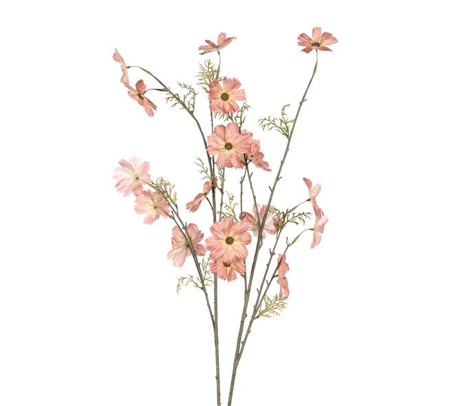 Branch cosmea artificial 11x56x134cm