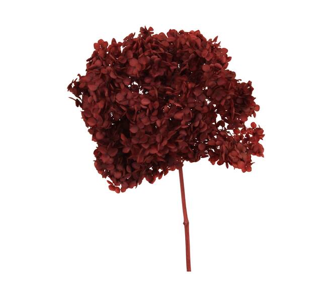 Bunch hydrangea preserved nature 60x20x25cm Red