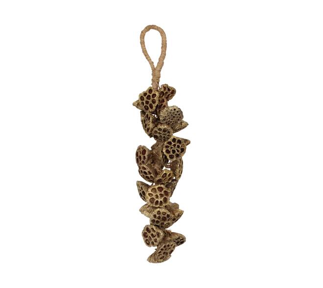 Cintre lotus nature 55x15x9cm doré érodé