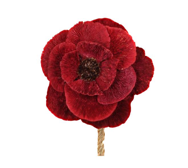 Flower sponge mushroom nature 70x15x15cm