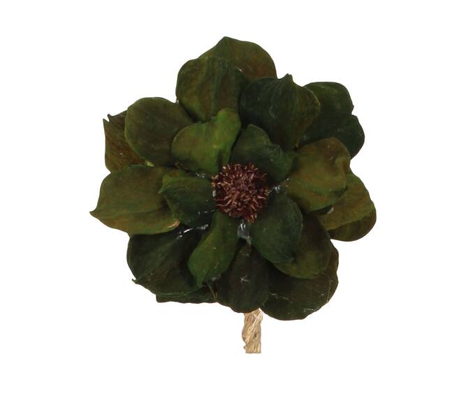 Flower landlotus petal nature 70x15x15cm Green