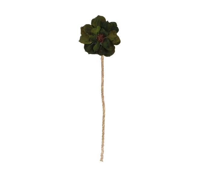 Flower landlotus petal nature 70x15x15cm Green
