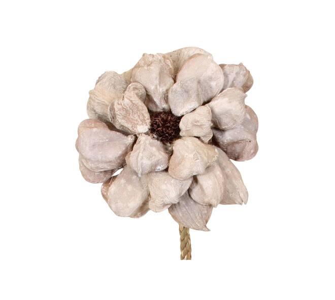 Bloem landlotusbloemblaadje natuurlijk 70x15x15cm white-wash