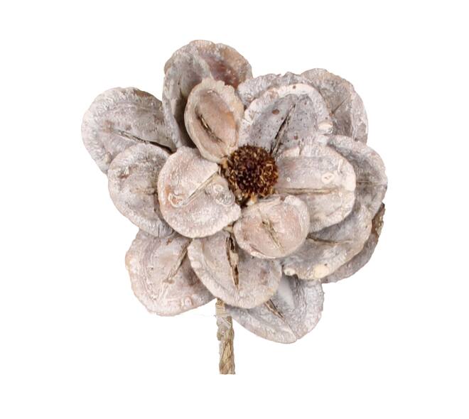 Flower jacaranda nature 70x15x15cm White-wash