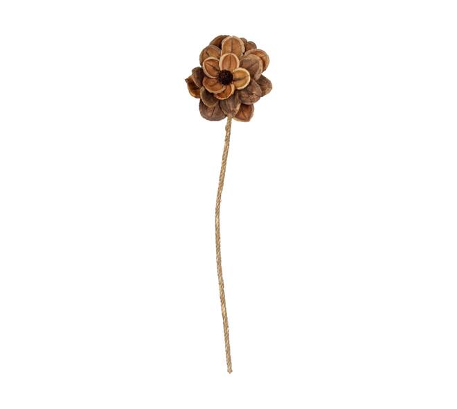 Blume Jacaranda Natur 70x15x15cm Natur