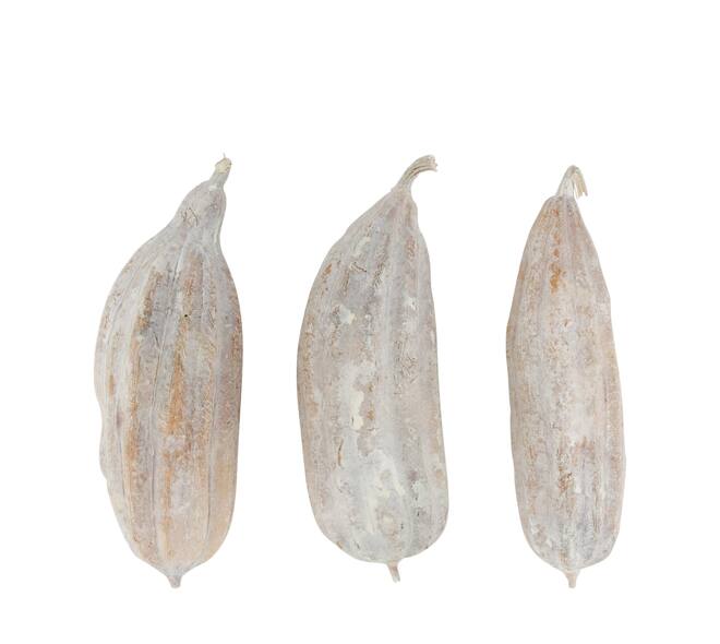 Frucht-Mischung gemalter Jingha Natur 25x20x6cm weiß wash 3stk