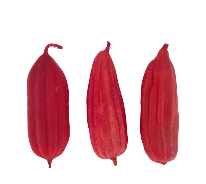 Mélange de fruits jingha peint nature 25x20x6cm rouge 3pc