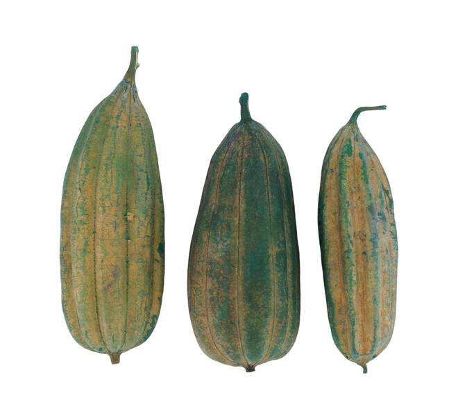 Mélange de fruits jingha peint nature 25x20x6cm vert 3pc