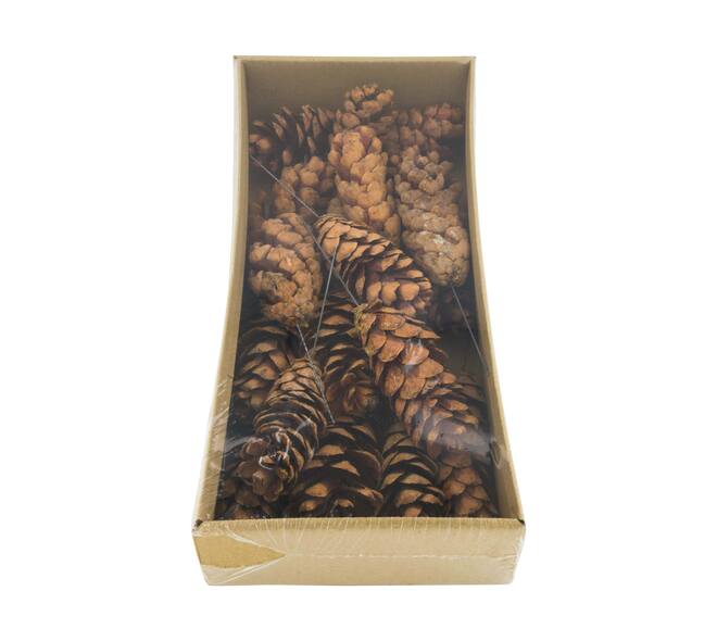 Cône de pin strobus nature sur fil 38x18x8cm naturel 20pc