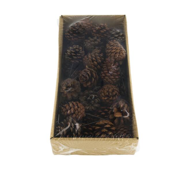 Pinecone nature on wire 38x18x7.5cm 25pc