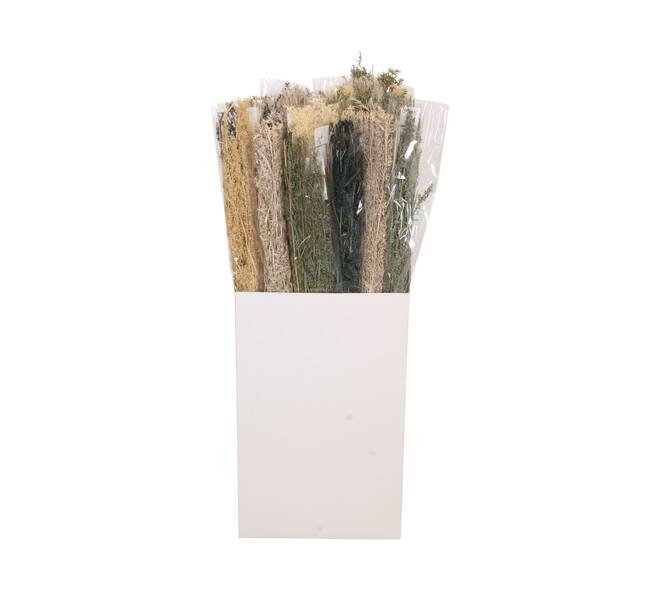 Alfonso grass nature 15x5x100cm 100gr