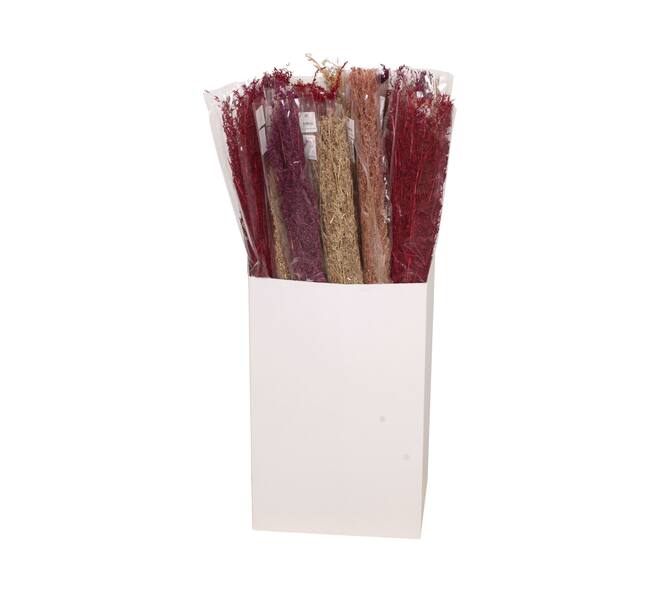 Alfonso grass nature 15x5x100cm 100gr