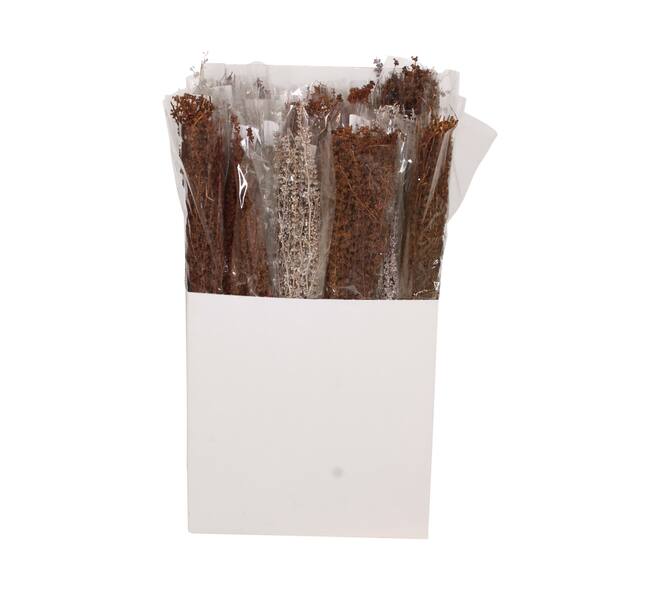 Palma grass nature 20x10x65cm 100gr
