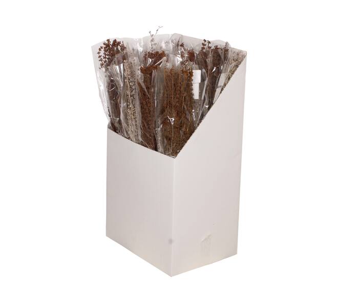 Palma grass nature 20x10x65cm 100gr