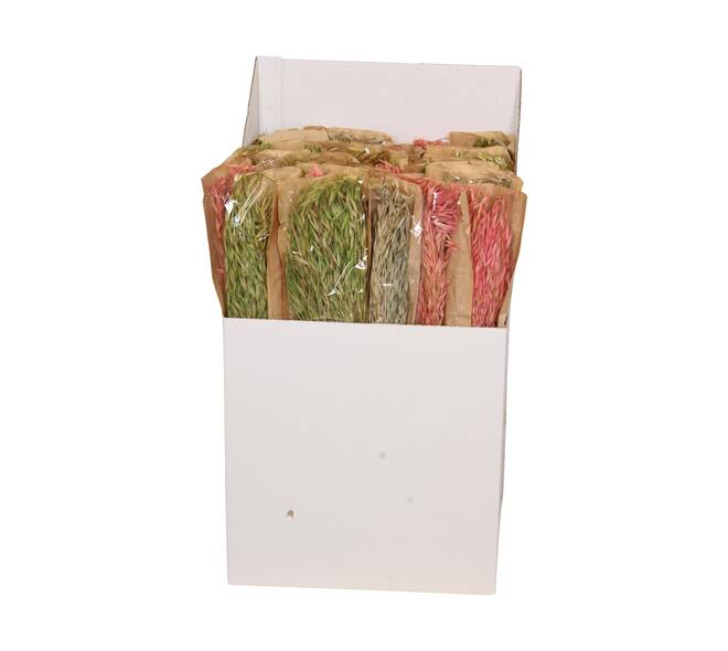 Avena nature 60x10x6.5cm 75gr
