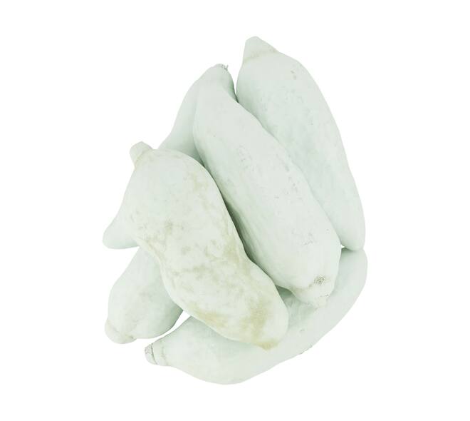 Baobab nature 12x12x20cm 6pc