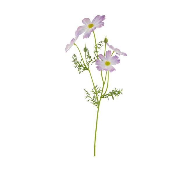 Branch cosmos artificial 60x14x10cm