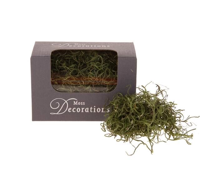Tillandsiamoss 30gr in box - Green