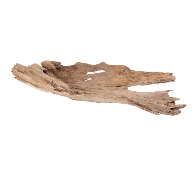 Root erosion wood 110x36x2cm