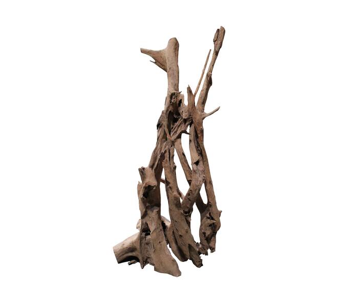 Root teak wood 70x50x155cm