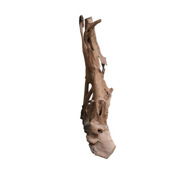 Root teak wood 70x50x155cm