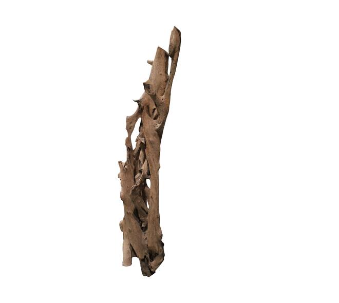 Root teak wood 70x50x155cm